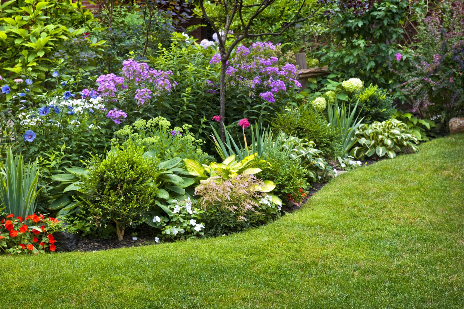 Üppig angelegter Garten mit Blumenbeet und bunten Pflanzen.